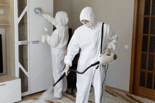 Best Mold Removal Process  in Bridgeport, WV